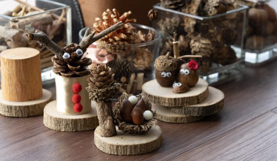 【限定住宿者】地方探索/地区体验南房总项目手工