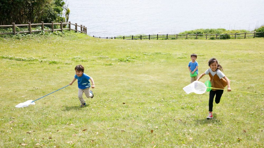 【南房总市大房岬自然之家】5月~7月|自然体验活动的介绍