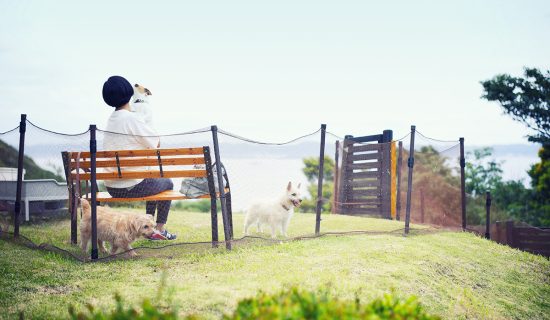 与小狗一起创造难忘的回忆的度假村住宿