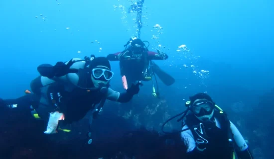 体验跳水鱼很多!潜伏在水中生物宝库“西川名”的<海滩&小船/1～2潜水/馆山市>