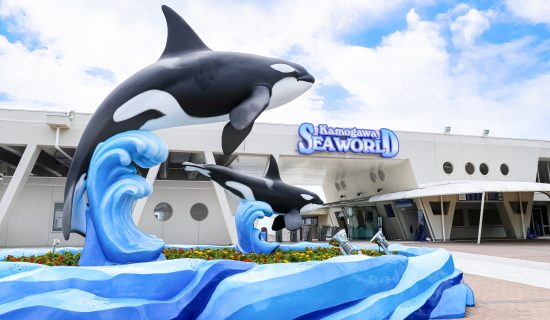 Kamogawa Sea World