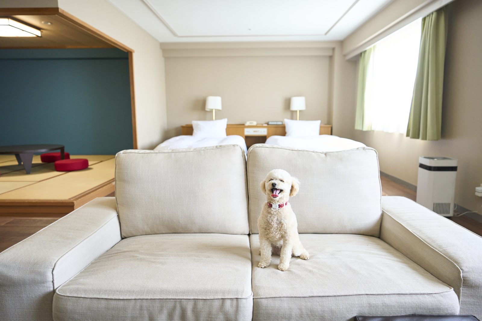 A resort stay that makes unforgettable memories with a dog