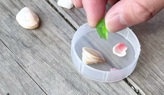[Limited to guests] Local Discovery/Regional Experience Minami Boso Item Craft