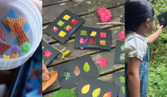 [Musubibito Program] Enjoy the original scenery of Minami Boso dyed in autumn breeze with all five senses - Cape Obo and deciduous craft