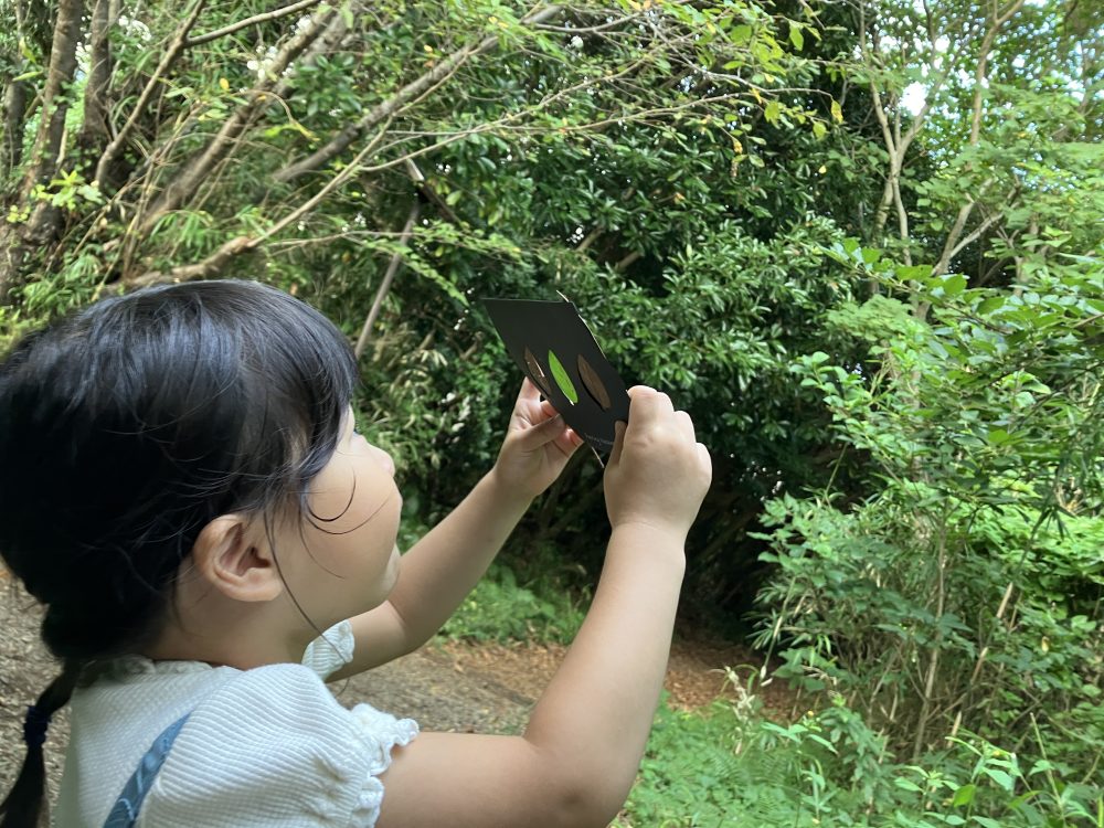 [Musubibito Program] Enjoy the original scenery of Minami Boso dyed in autumn breeze with all five senses - Cape Obo and deciduous craft