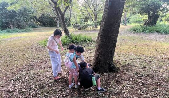 [Neighboring Facilities Activities] Information on nature experience events that can be enjoyed in winter at Minami Boso
