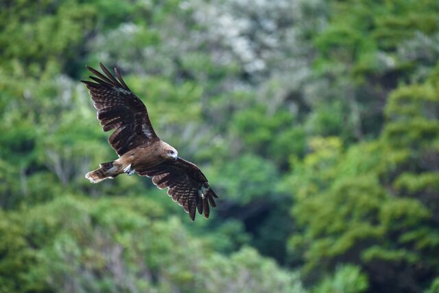 [Neighboring Facilities Activities] Information on nature experience events that can be enjoyed in winter at Minami Boso