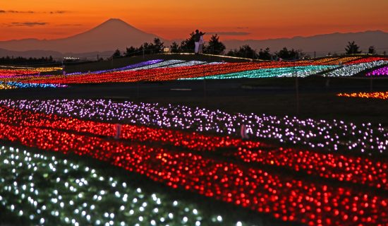 Recommended information on illuminations shining in the winter of Minami Boso