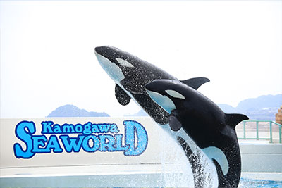 フォトギャラリーイメージ｜グランドメルキュール南房総リゾート＆スパ