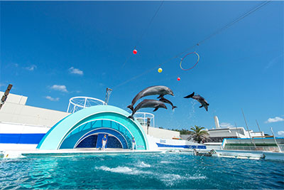 フォトギャラリーイメージ｜グランドメルキュール南房総リゾート＆スパ