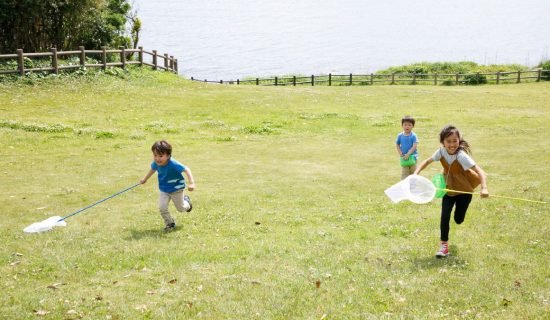 【南房総市大房岬自然の家】5月~7月|自然体験イベントのご案内