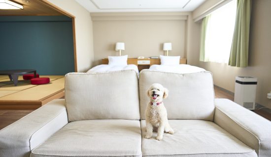わんちゃんと忘れられない思い出を作るリゾートステイ